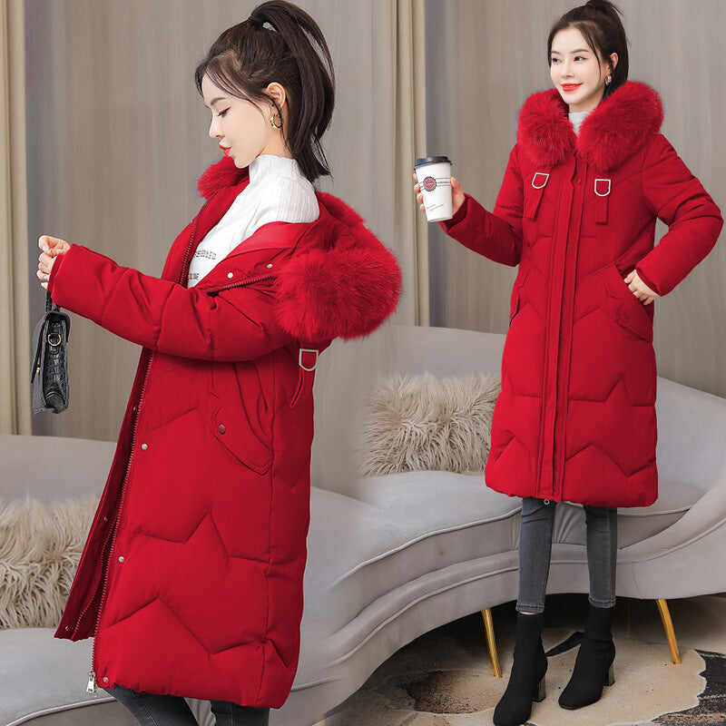 Mid-length Slim Padded Ladies' Jacket