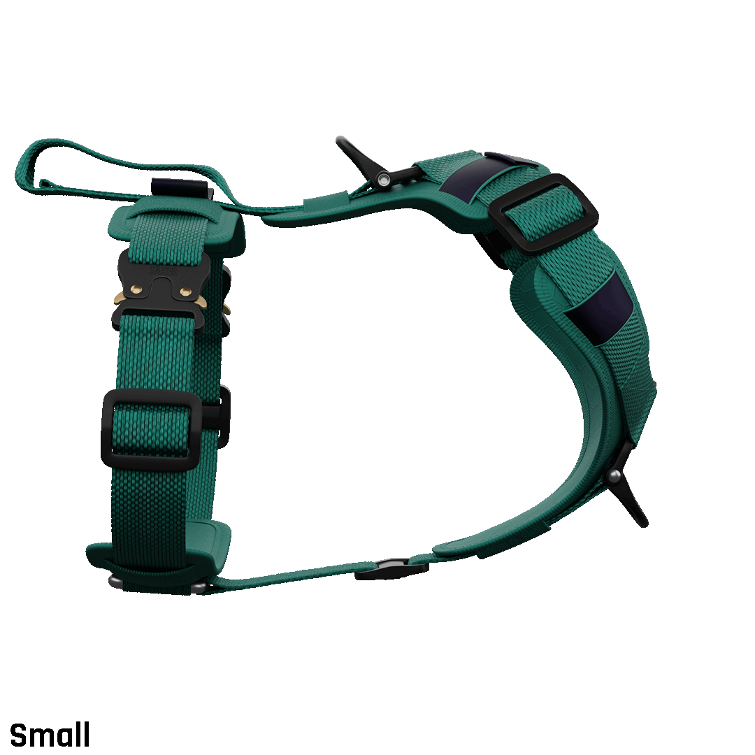 Ascension Core Harness - Tazer Teal