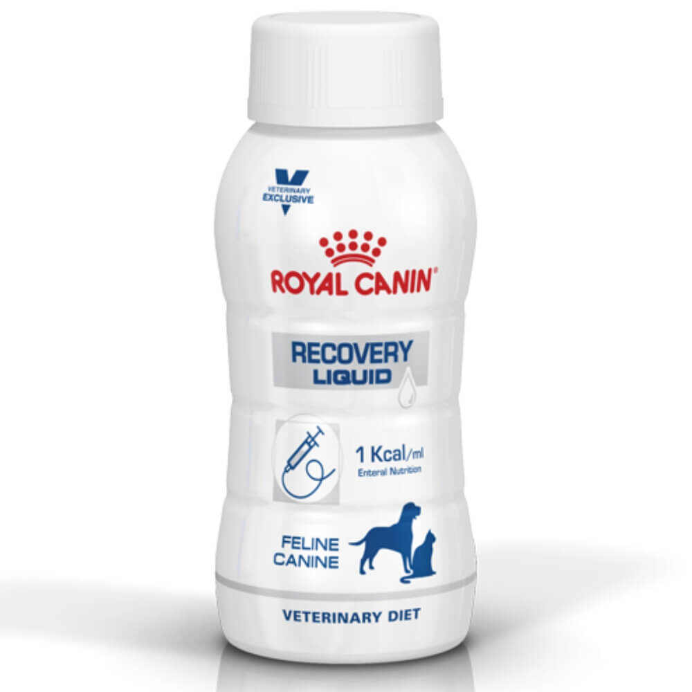 Royal Canin - Recovery Liquid for Dogs & Cats 200ml (per bottle)