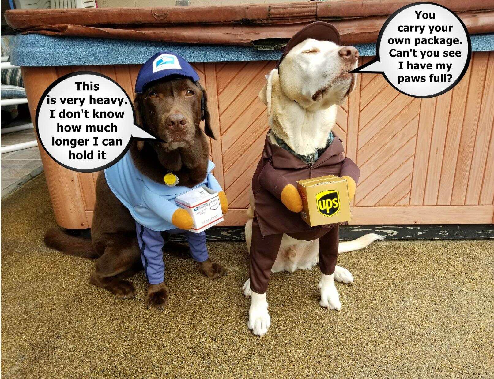 UPS Dog Costume