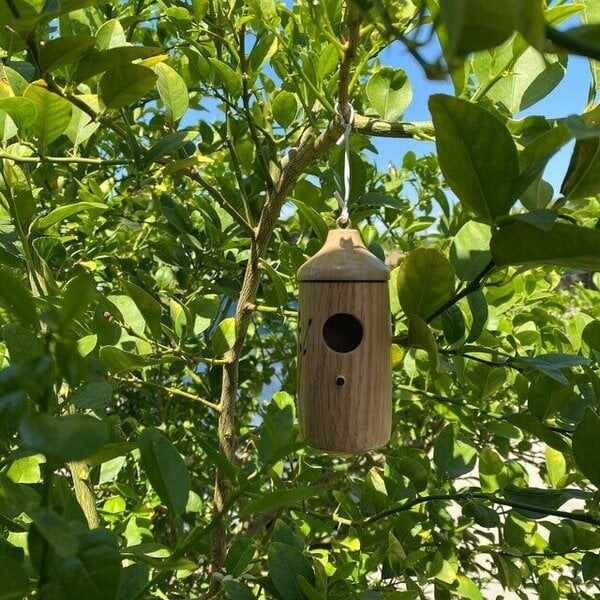 Wooden Hummingbird House