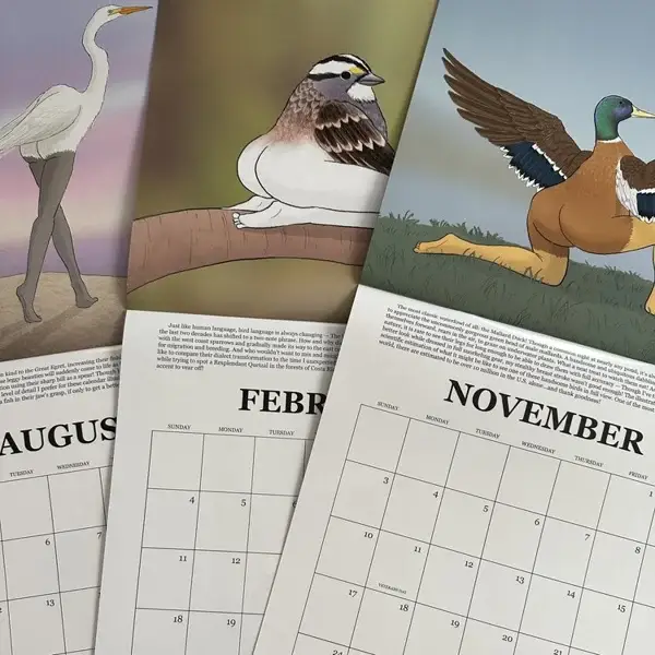 2024 CALENDAR OF EXTREMELY ACCURATE BIRDS