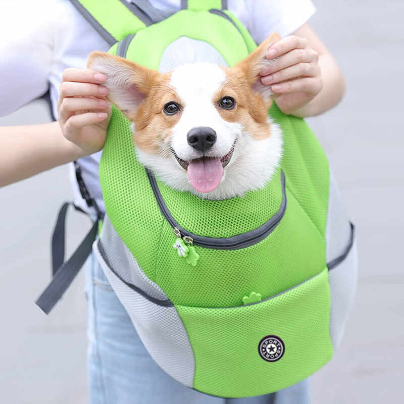 DOGGY Bag  Dog Carrier