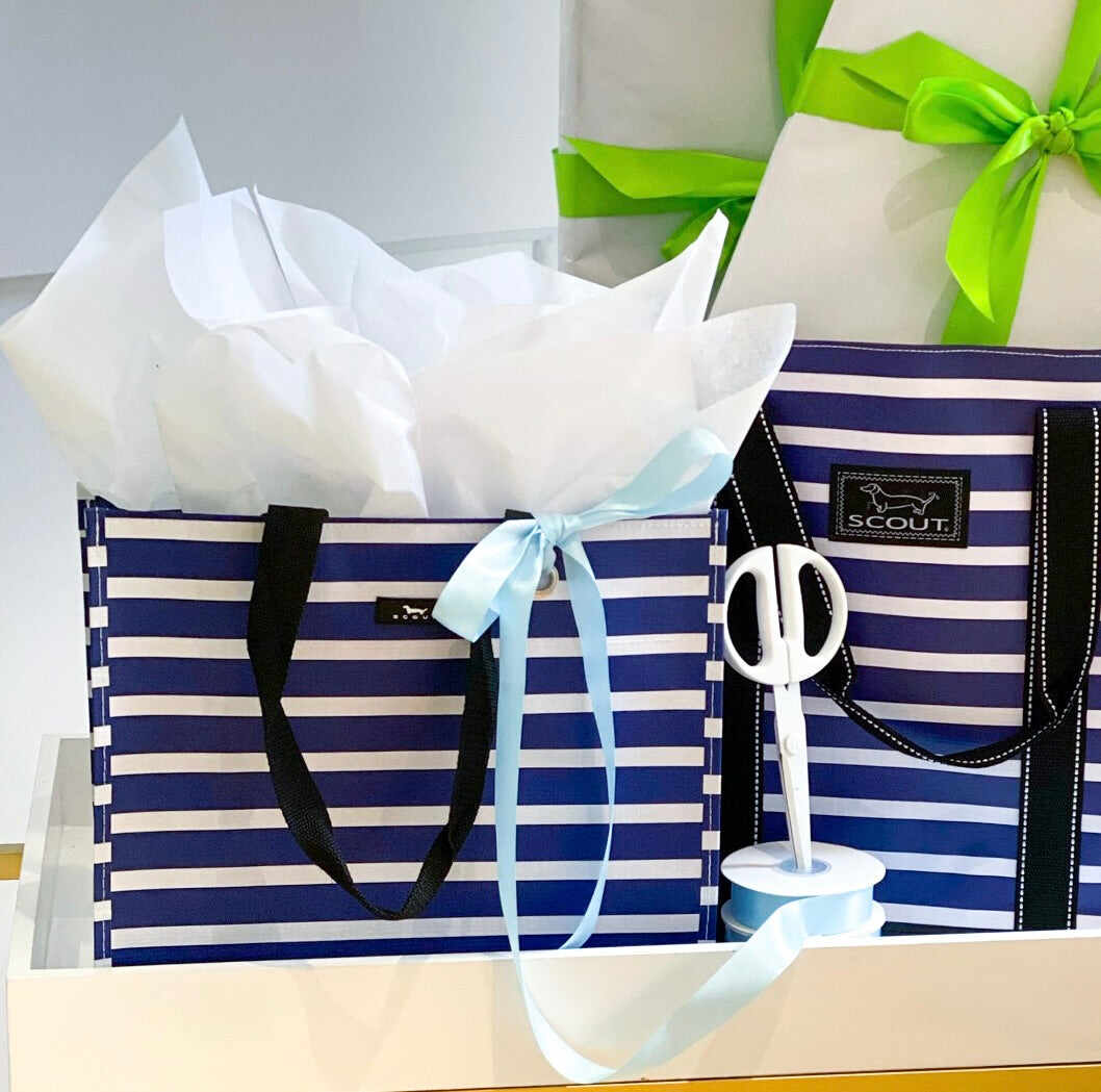 Large Package Gift Bag