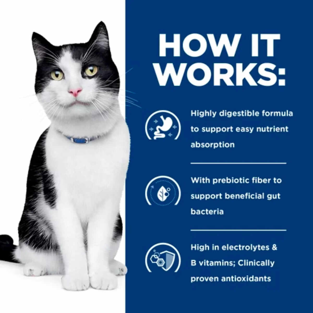 Hill's Prescription Diet - Feline i/d Digestive Care 5.5oz