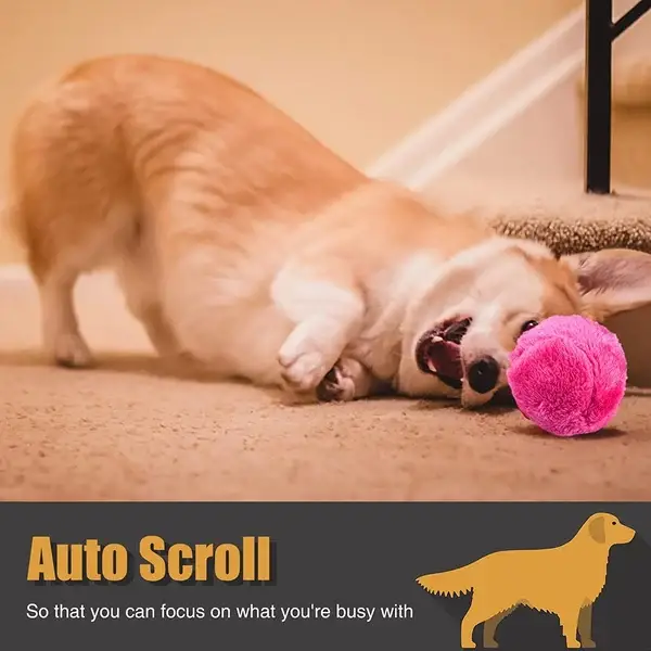 🐾Mega Sale - Active Rolling Ball (4 Colors Included)