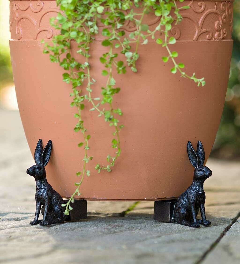 Last Day 50% OFF Cute Animal Shaped Pots Feet (Set of 3)-Hot Sale