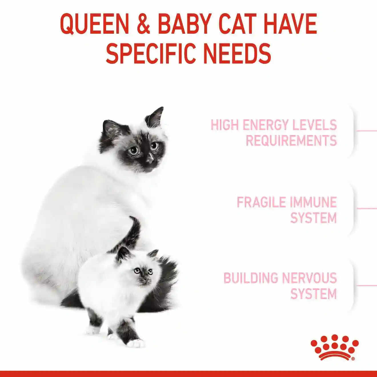Royal Canin - Mother & Babycat Dry Food (1-4 Months)