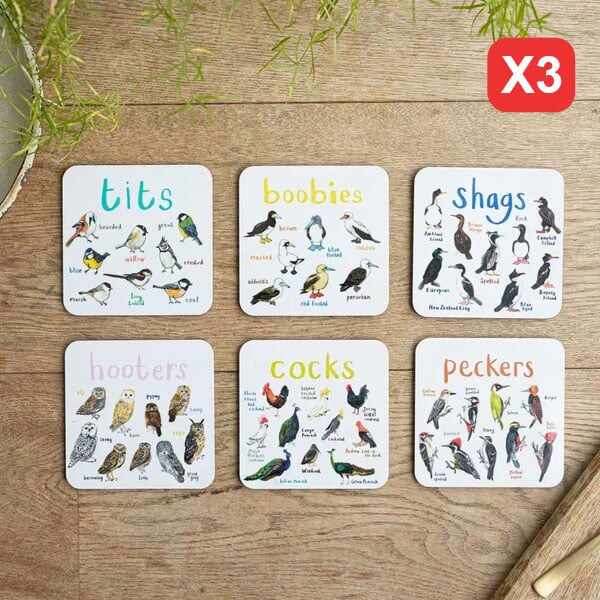 Last Day 70% OFFSet of 6 Bird Pun Coasters