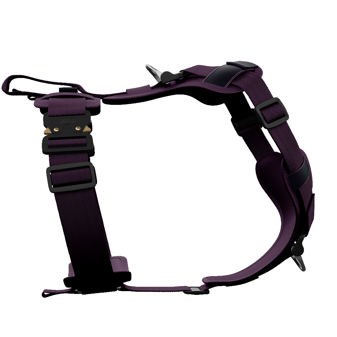 Ascension Core Harness - Prairies Purple