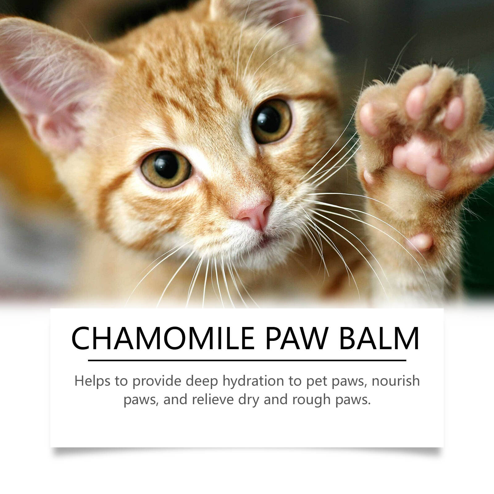 Chamomile Paw Balm