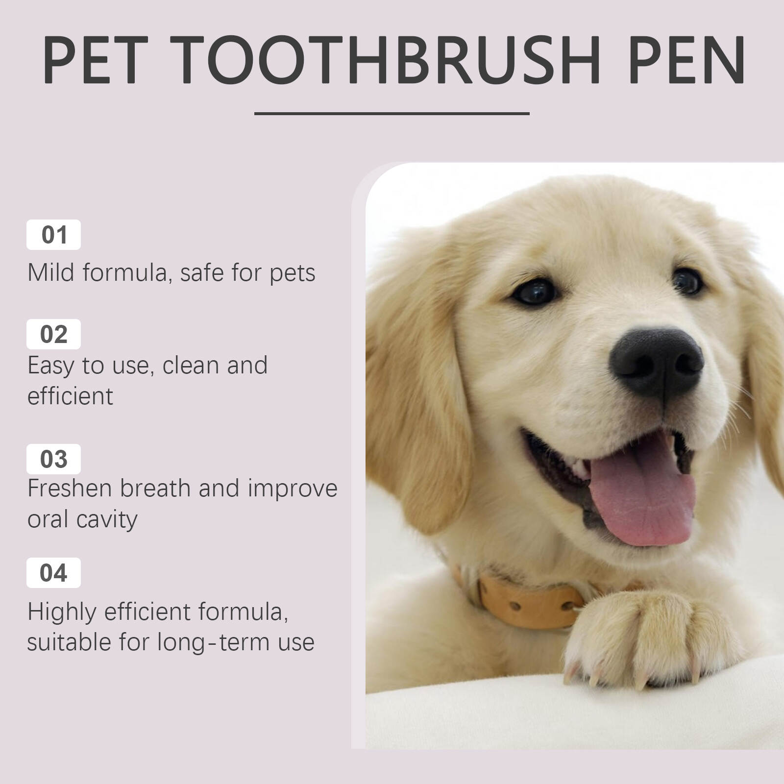 Pet Toothbrush Pen