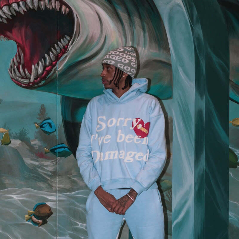 Sorry,I've been damaged print hoodie