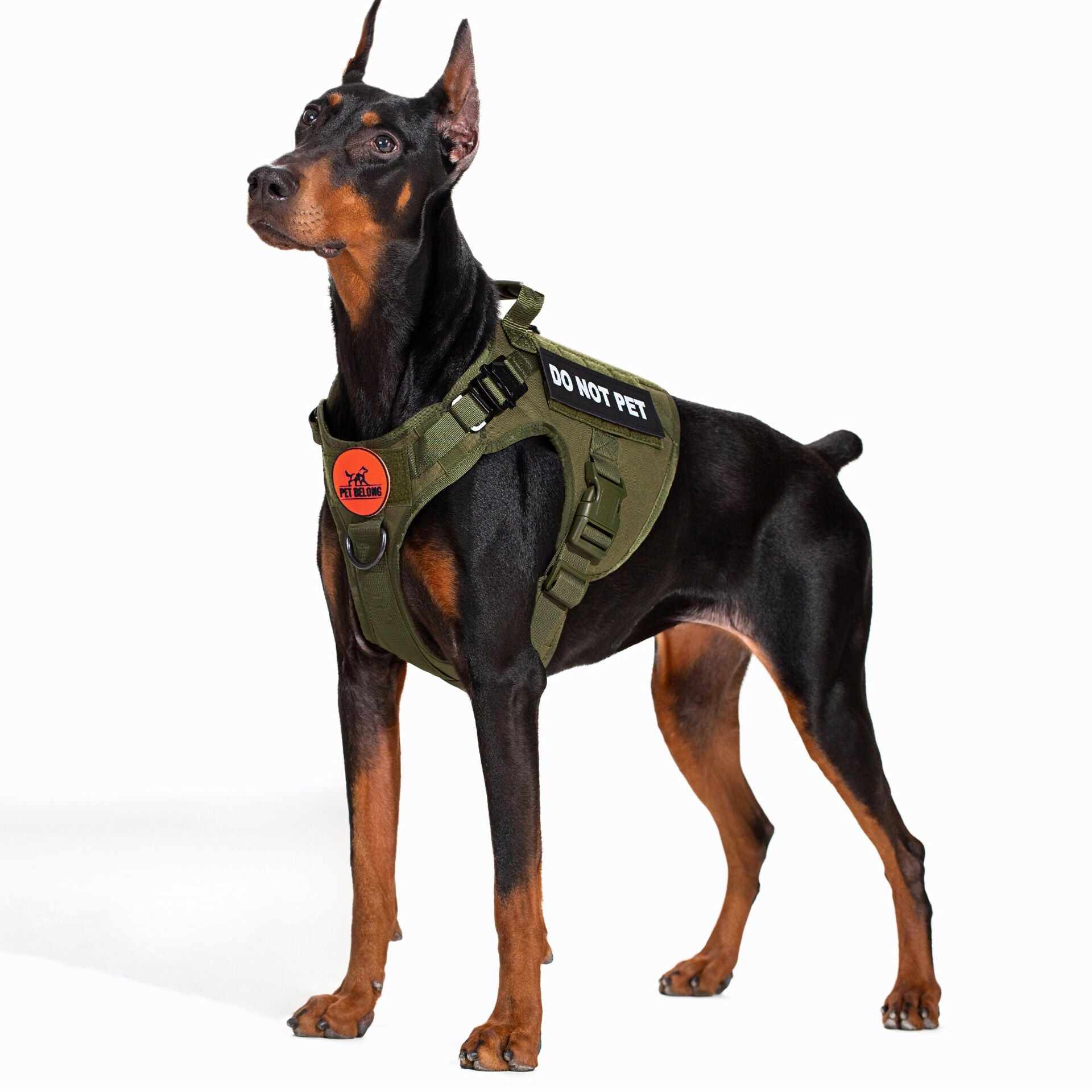 Tactical No Pull Dog Harness v2