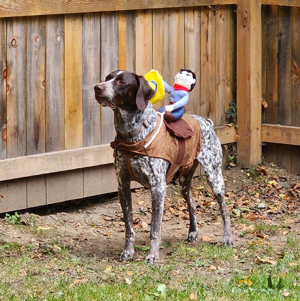 Cowboy Dog Costume