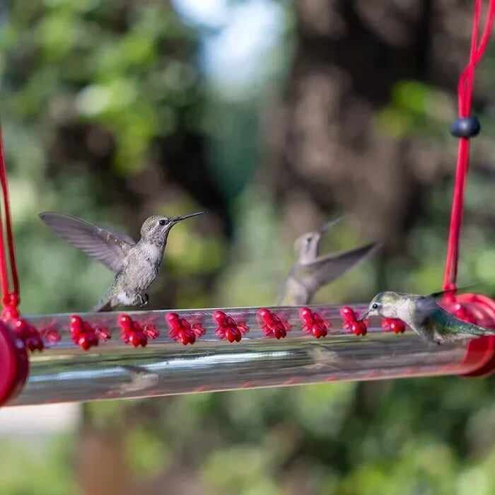 LAST DAY 49% OFF-Flower bar hummingbird feeder