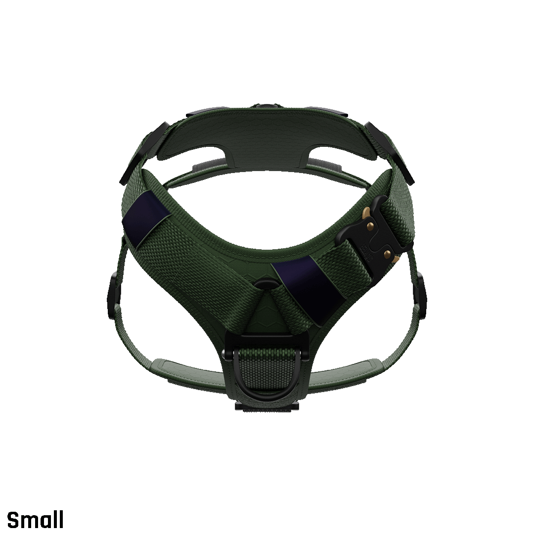 Ascension Core Harness - Woodland Green