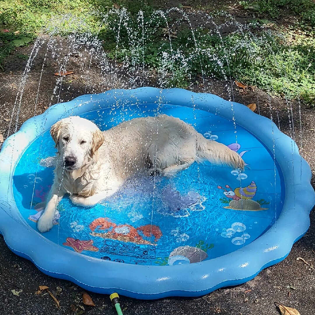 Doggo Splash Pad