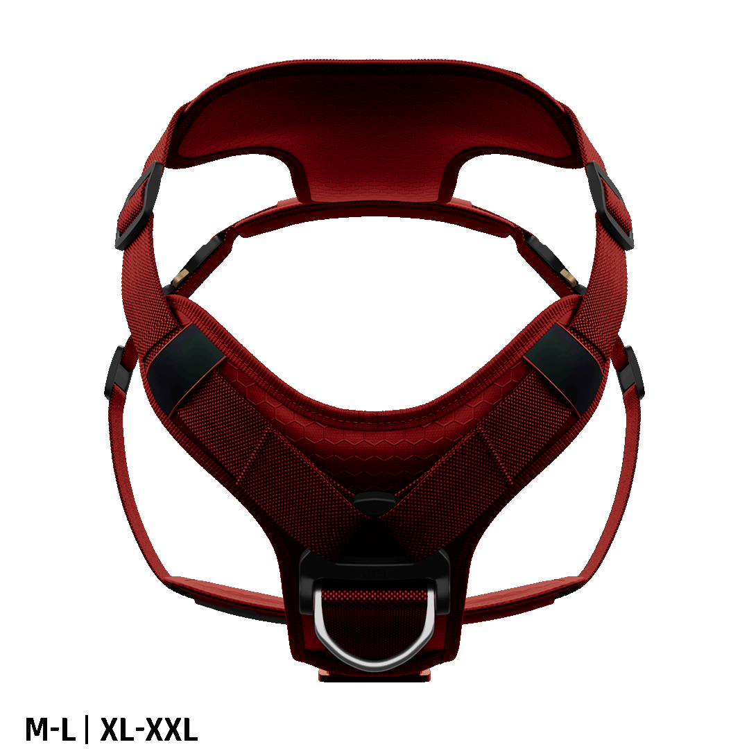 Ascension Core Harness - Blazing Red