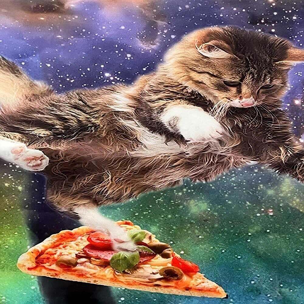 Funny Wall Tapestry Art Decor Cats Galaxy Pizza