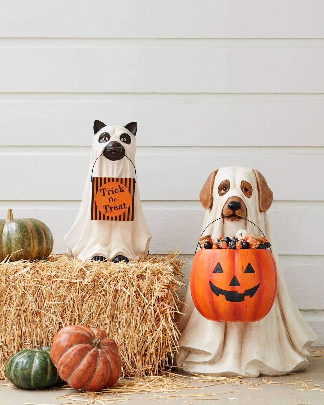 (Halloween Hot Sale 49% OFF) GHOST DOG CANDY BOWL