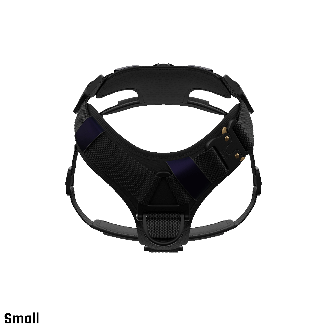 Ascension Core Harness - Black