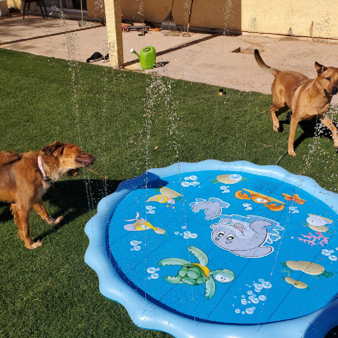 Doggo Splash Pad