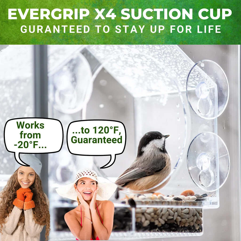 Window Bird Feeder for Outside