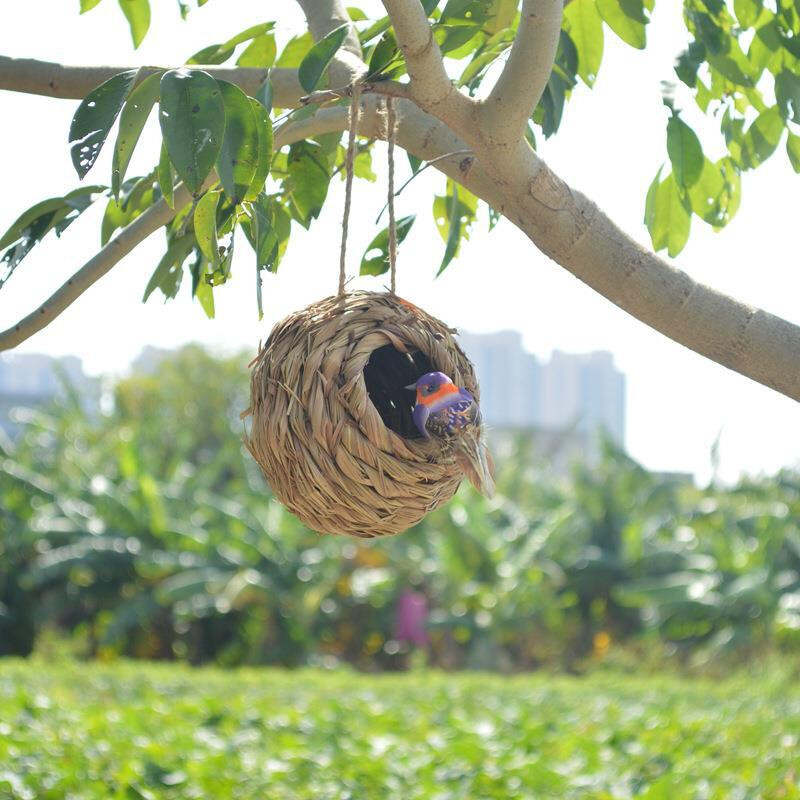 Hummingbird Nest House