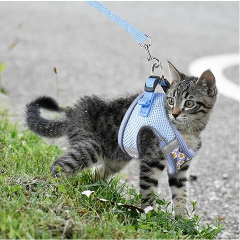 Floral Pet Harness Set