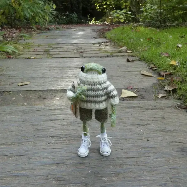 Last Day 49% OFF - Hand-Crochet Frog DIY Kit