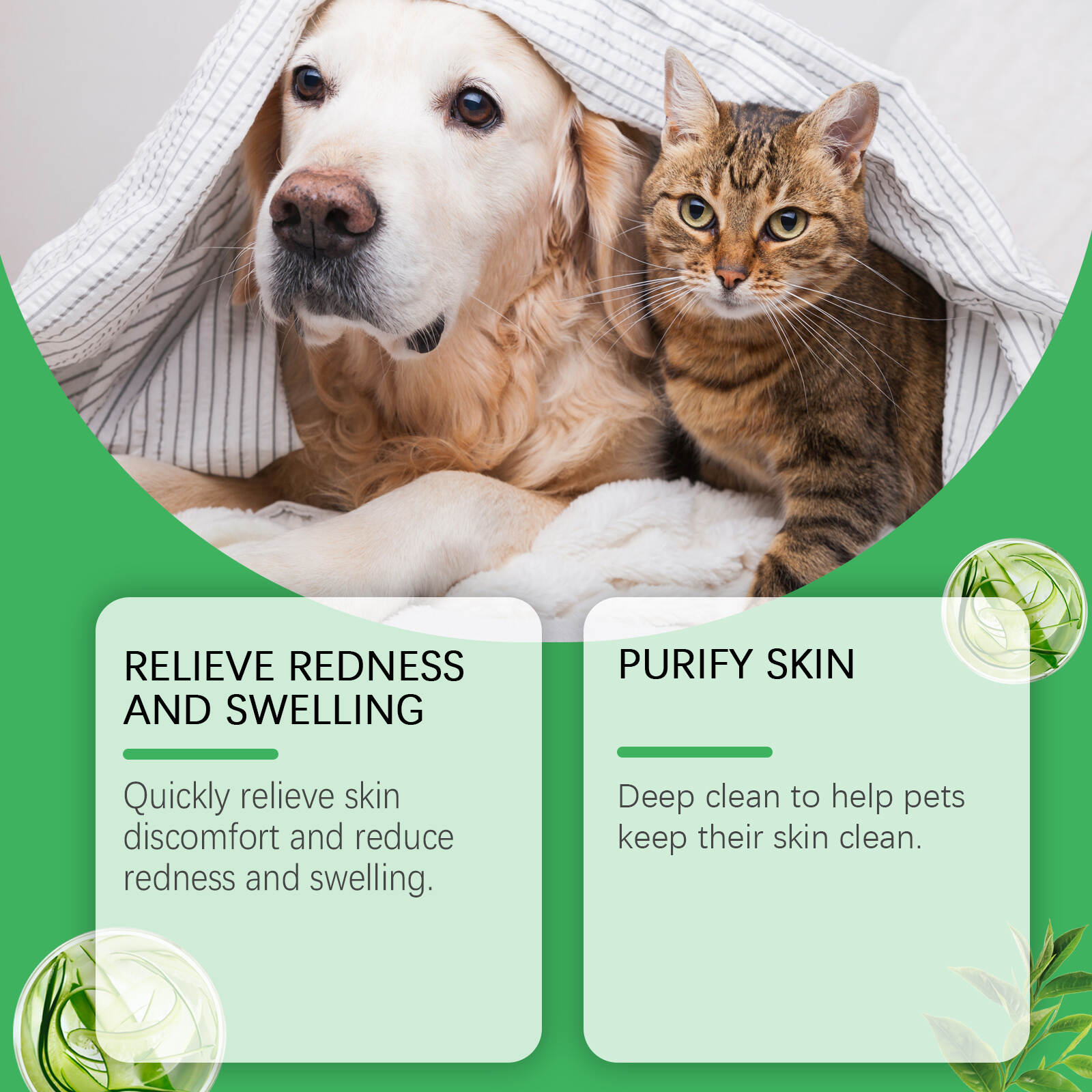 Acne Bumps Pet Cream