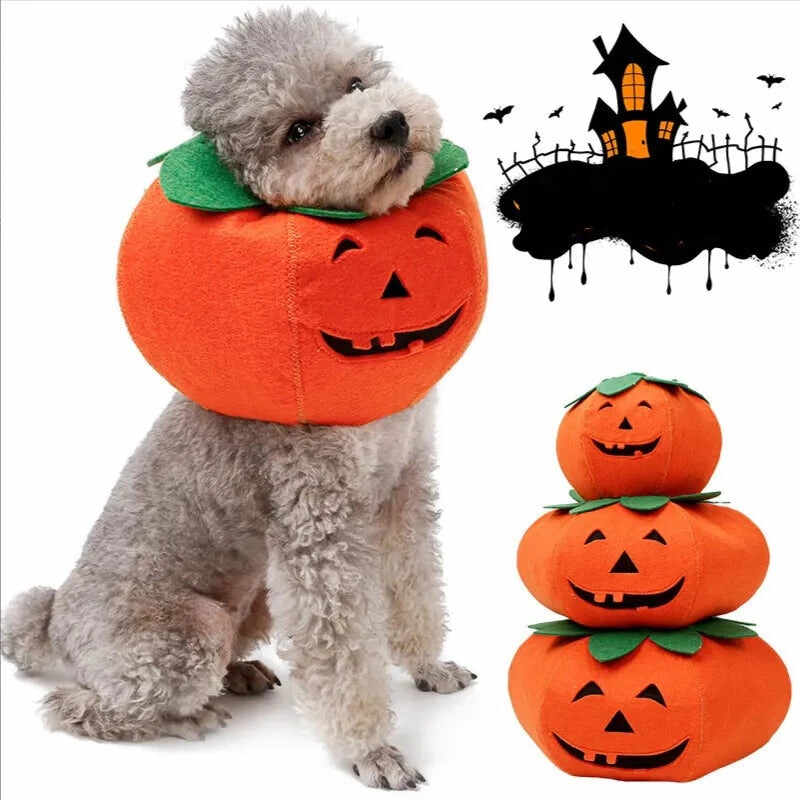 Pet  Collar  Halloween