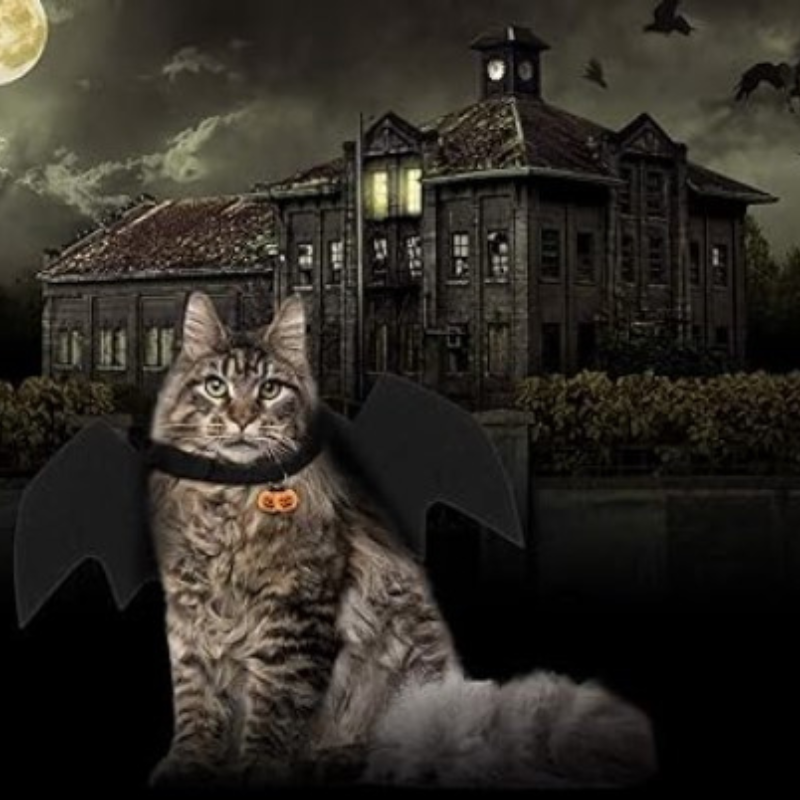 Cat Halloween Costume Bat Wings