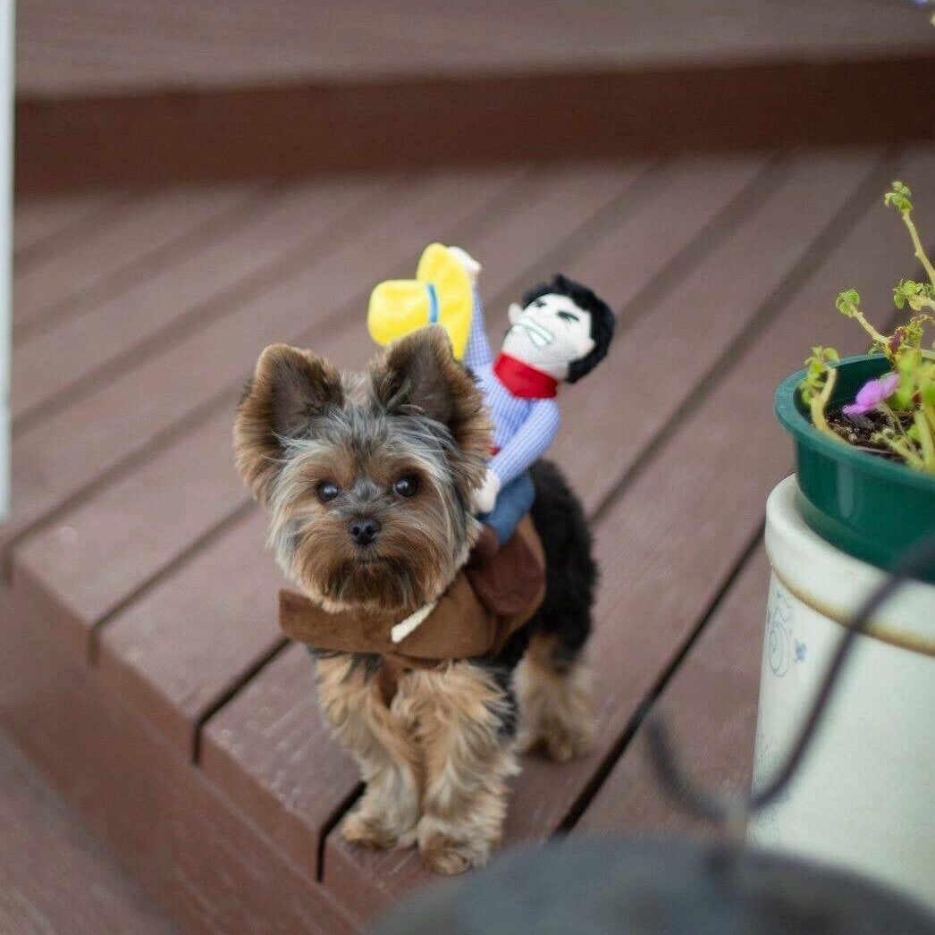 Cowboy Dog Costume