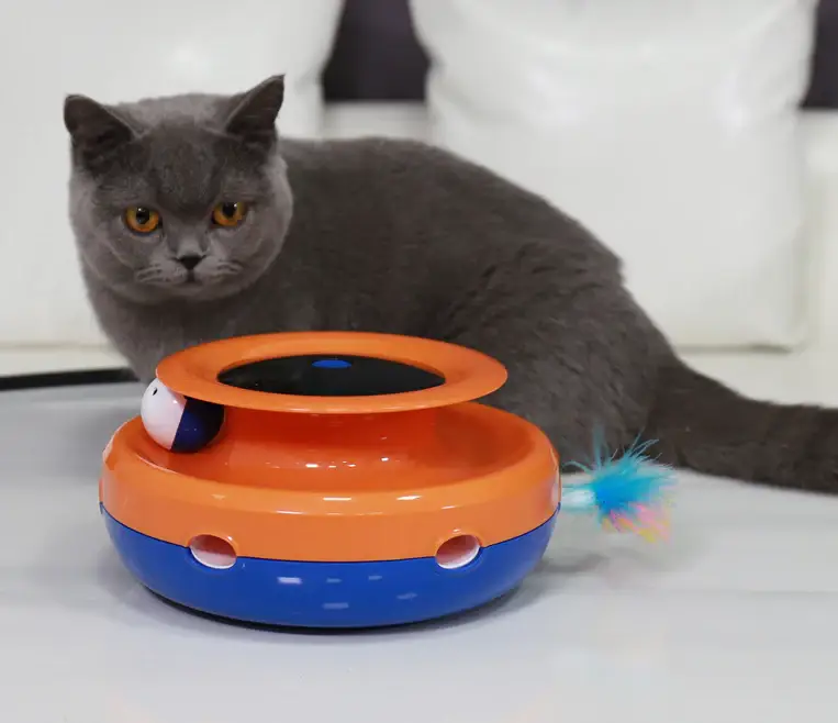 NEW! Electronic Catnip Track Cat Toy