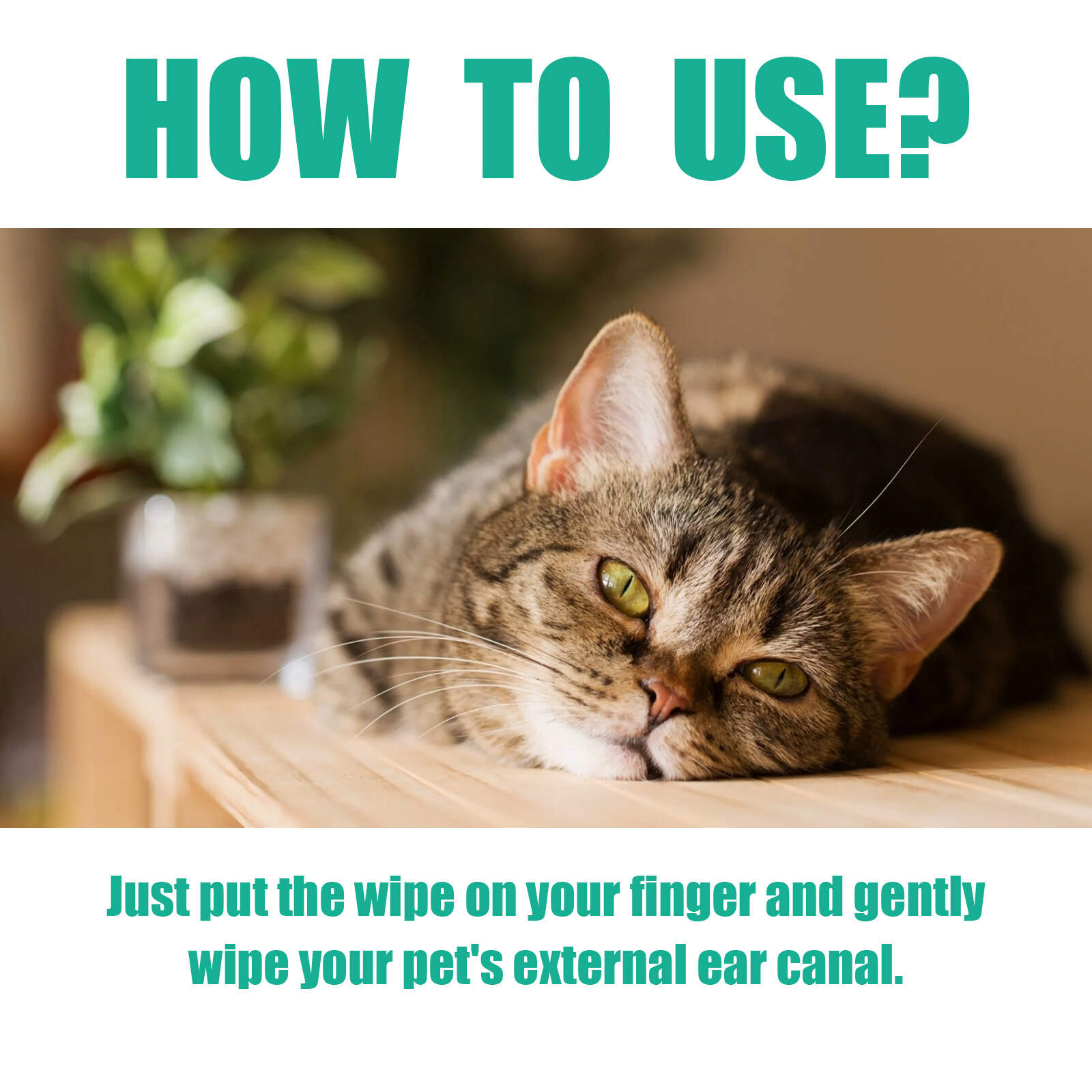 Pet Ear Cleaner Finger Wipes