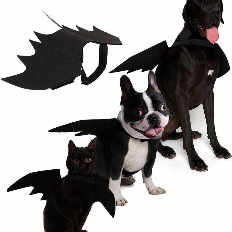 Cat Halloween Costume Bat Wings