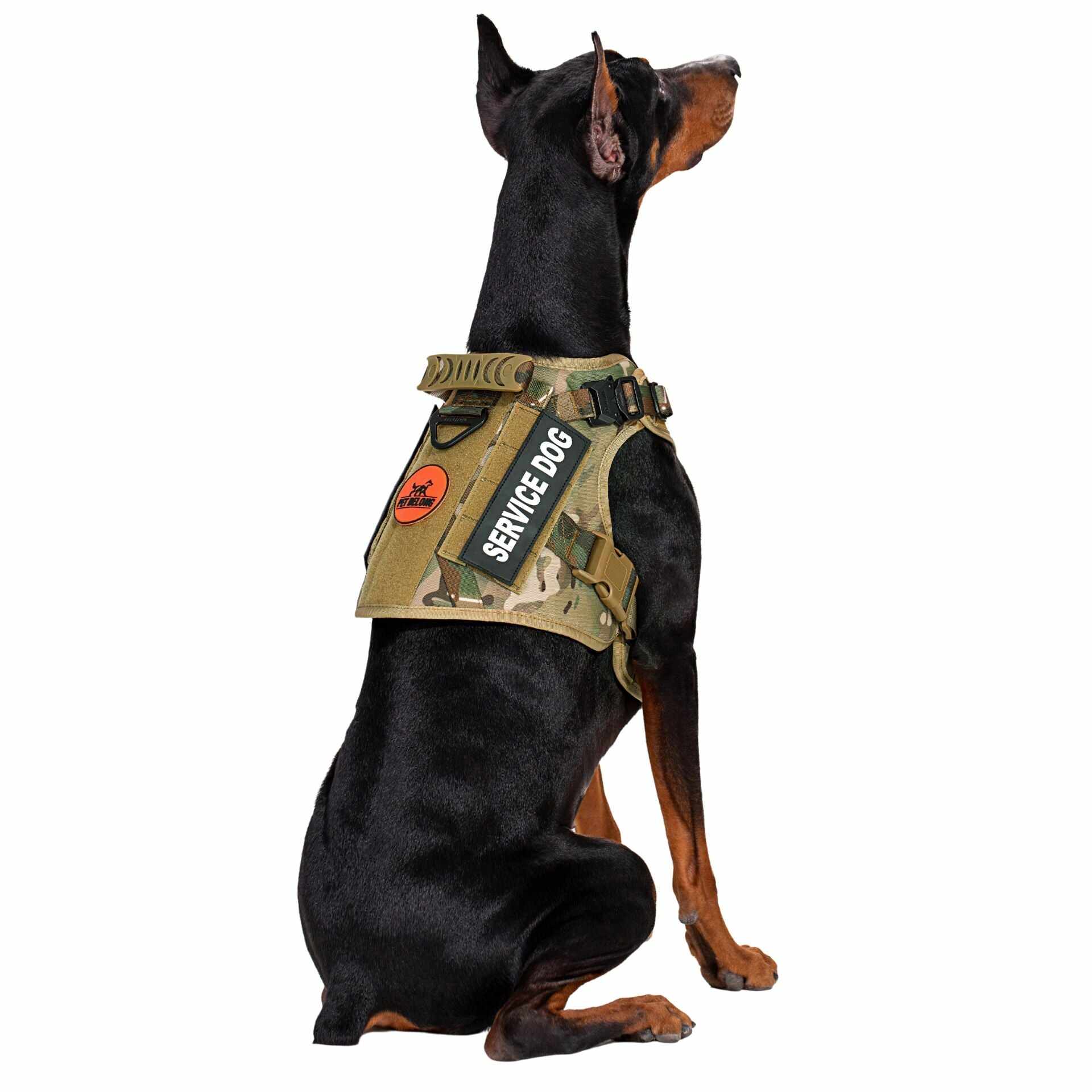 Tactical No Pull Dog Harness v2