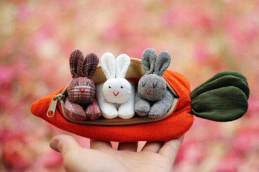 Hide-and-Seek Bunnies in Carrot Pouch