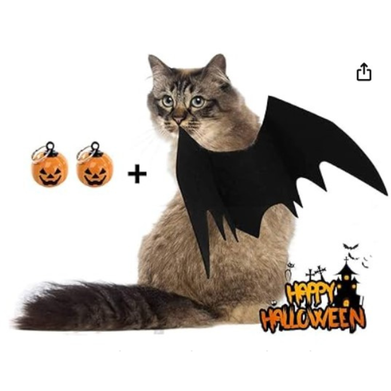 Cat Halloween Costume Bat Wings