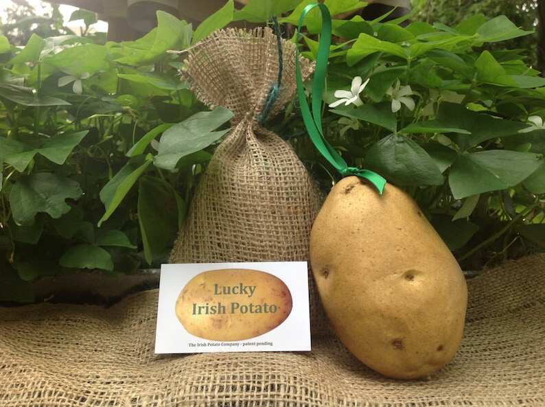 Irish ornament, looks like a real potato. Very cute!