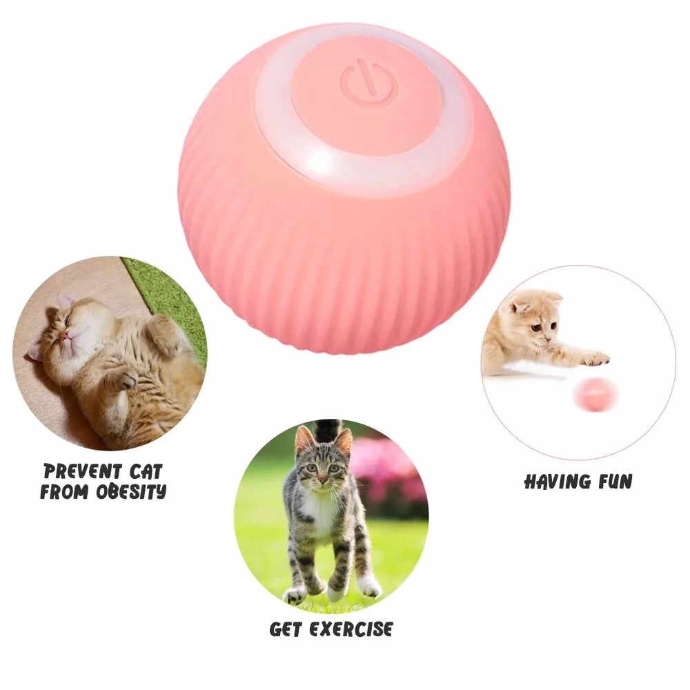 Interactive Toys for Cats