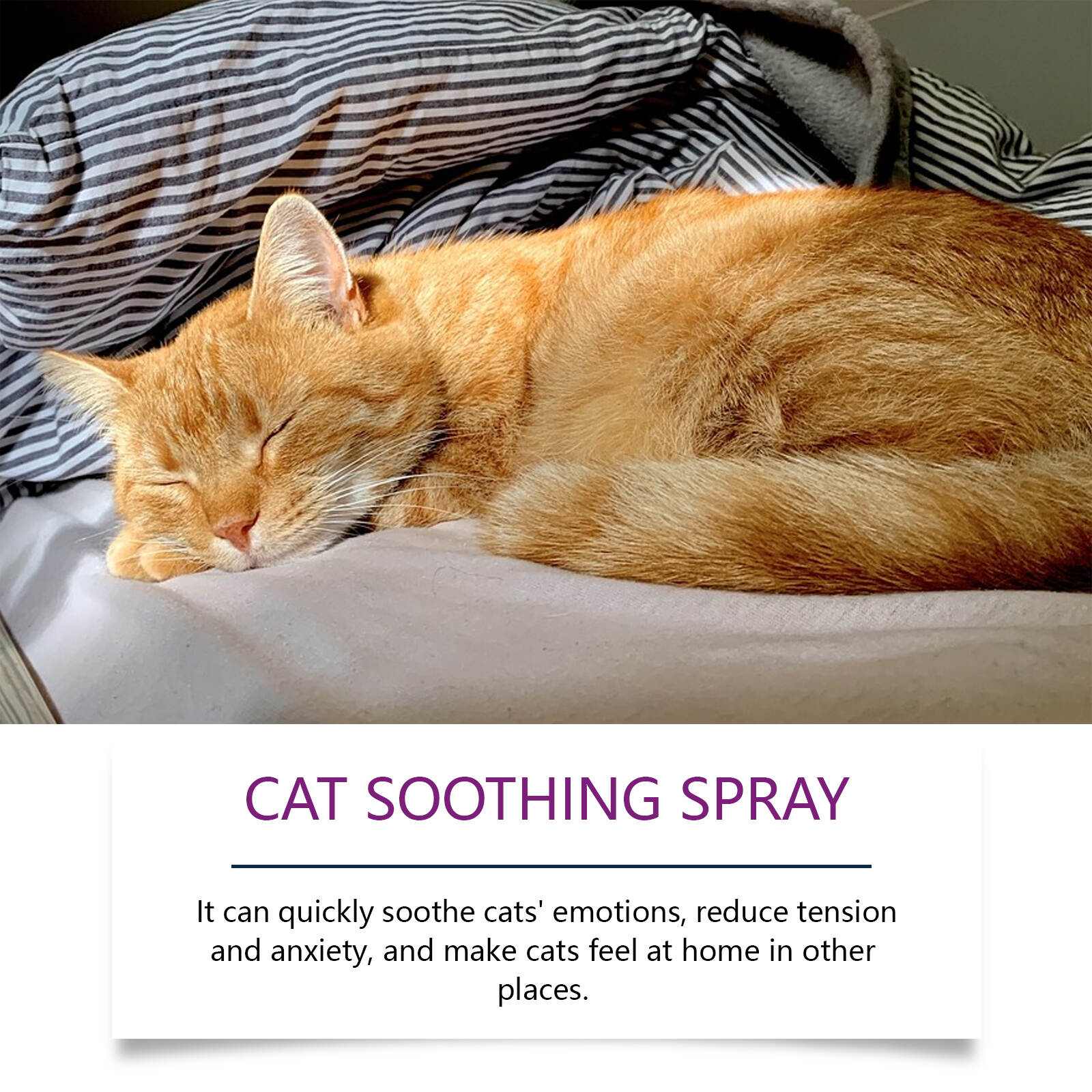 Cat Soothing Spray