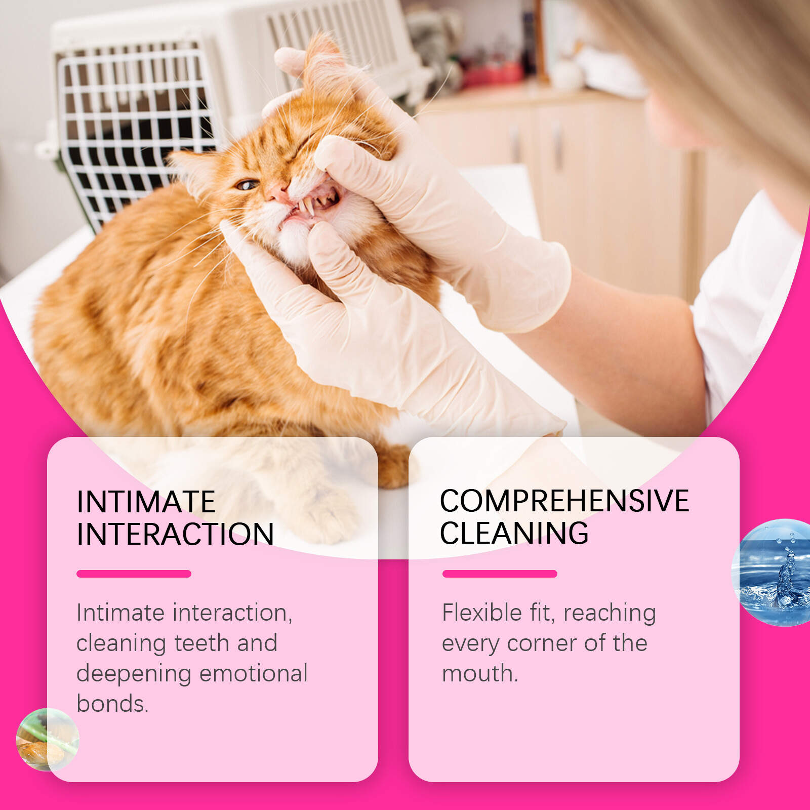 Pet Dental Finger Wipes