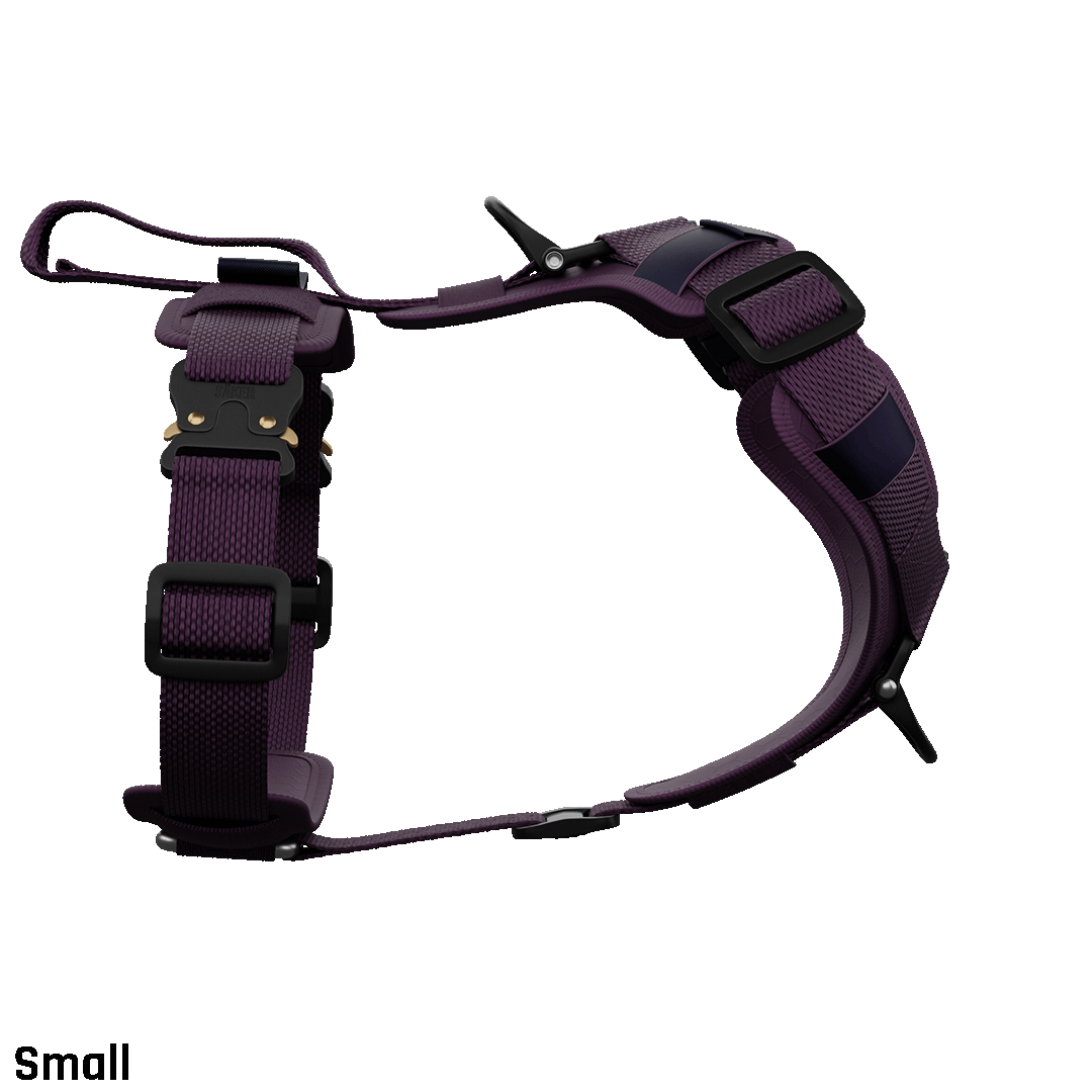 Ascension Core Harness - Prairies Purple