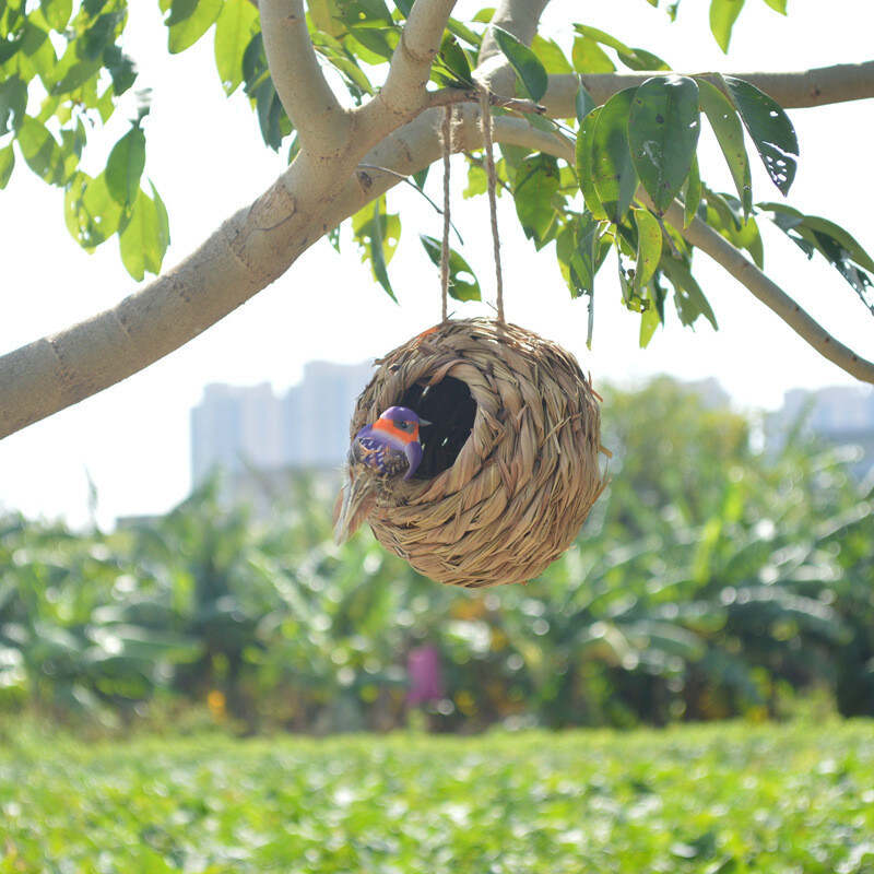 Hummingbird Nest House