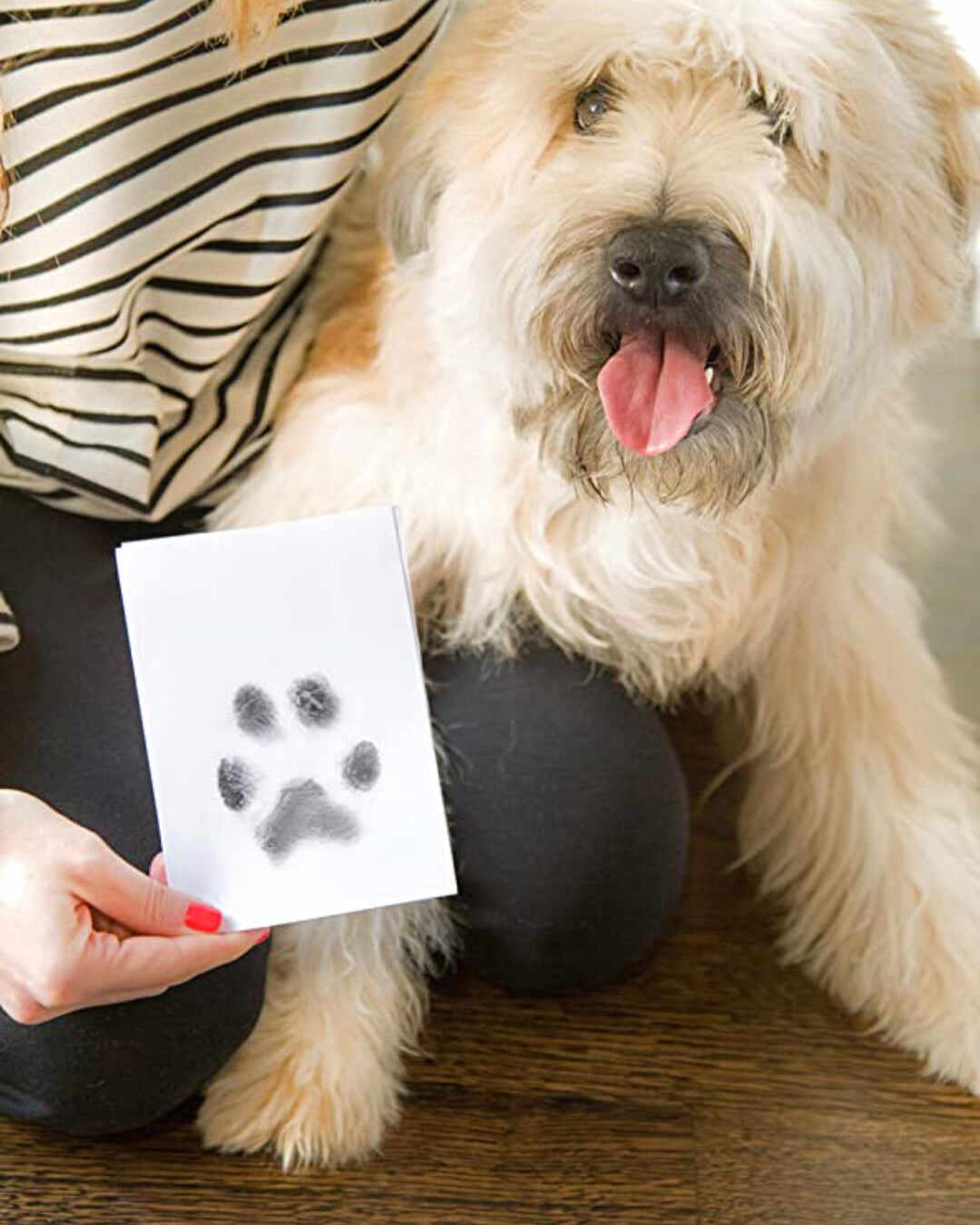 XL Everlasting Paw Print Pad