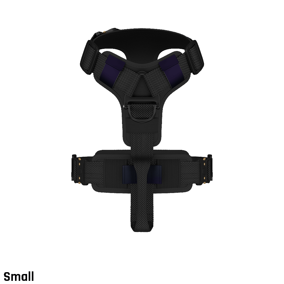 Ascension Core Harness - Black