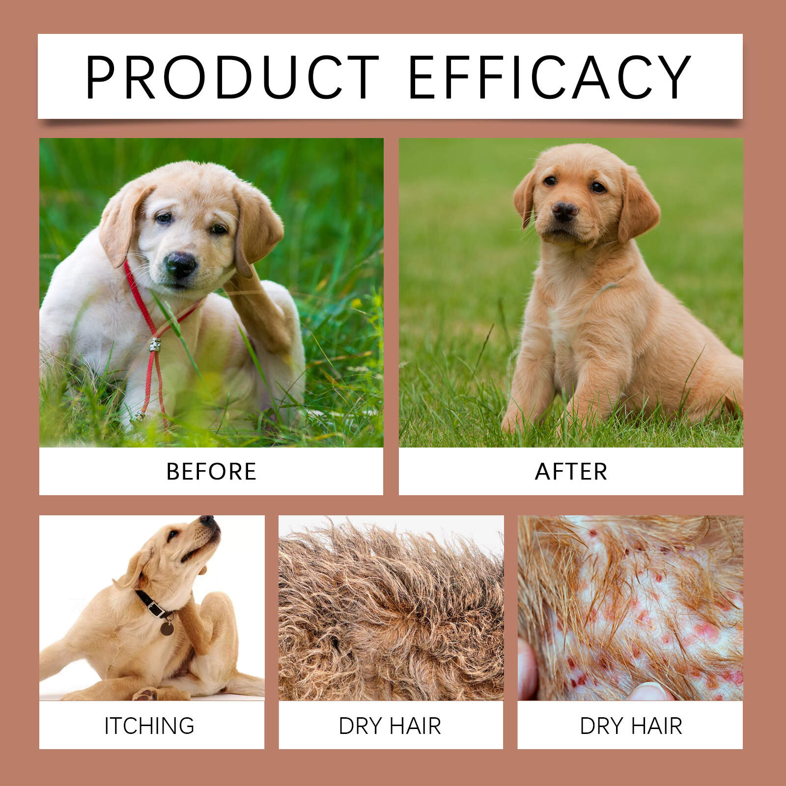 Anti-Itch Shampoo For Dogs